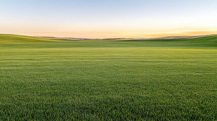 Naklejka premium Green field horizon dawn soft light rolling plain peaceful sunrise scene