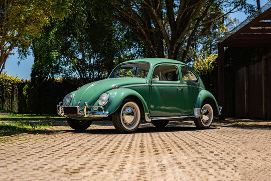 Green Volkswagen Beetle front three quarter view, Classic vintage sedan parked in garden