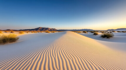 Fototapeta premium White sand dune with rippled texture and sparse grass under clear sky at sunrise