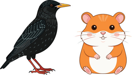 Vector illustration of a black starling bird and a cute orange hamster, perfect for animal graphics, educational materials, and children’s design projects