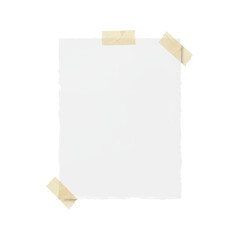 Fototapeta premium Isolated blank torn paper attached with adhesive tape on a plain surface