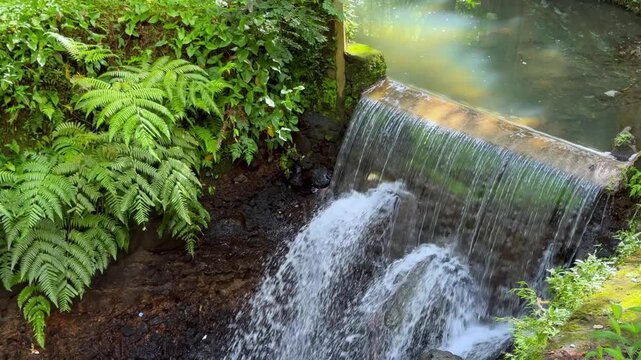 Static video flowing small waterfall in the park. Perfect for Nature videos or flowing water ASMR loops.