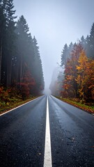 Fototapeta premium Foggy road bisects trees transitioning from green to orange under a misty sky
