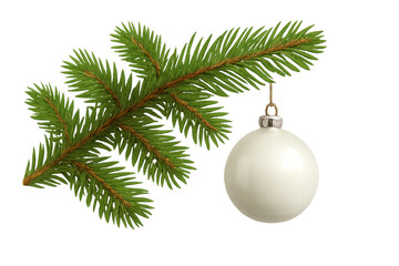 Fototapeta premium Fir branch with white christmas bauble hanging, elegant holiday season decoration on transparent background