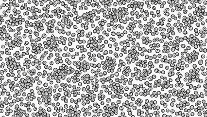 Microscopic view of red blood cells in a blood smear.