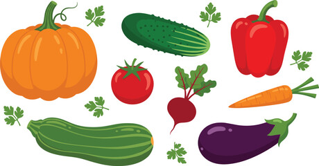 Vector illustration set featuring assorted fresh vegetables including pumpkin, cucumber, tomato, bell pepper, carrot, beet, zucchini, and eggplant with decorative leaves
