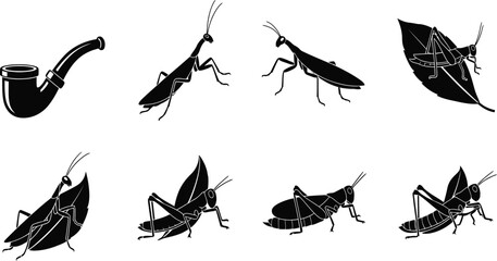 insect silhouettes, grasshopper, cricket, praying mantis, tobacco pipe, leaf, black vector icons, nature, pest, farm, garden illustration © jamiul