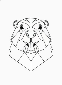 babr's head