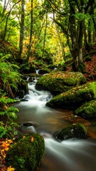 Fototapeta premium Forest stream with mossy rocks flows among autumn leaves and vibrant, towering trees