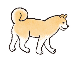 歩く犬のかわいい手描きイラスト（柴犬・秋田犬）