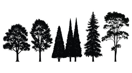 Silhouette illustration of six unique tree shapes with varied foliage and branching styles – ideal for botanical references, landscape design, environmental visuals, and artistic studies of tree form  © S.Siam