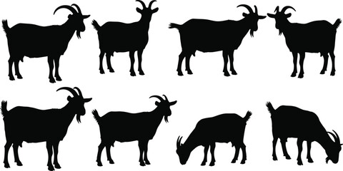 Collection of goat silhouette vector illustrations featuring standing and grazing poses, detailed farm animal shapes, perfect for agriculture design, rural artwork, creative projects