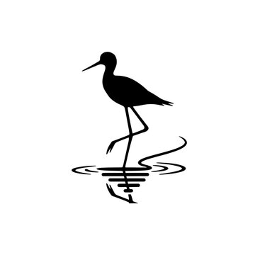 Stilts Bird Standing on Long Legs with Reflected Shadow vector illustration