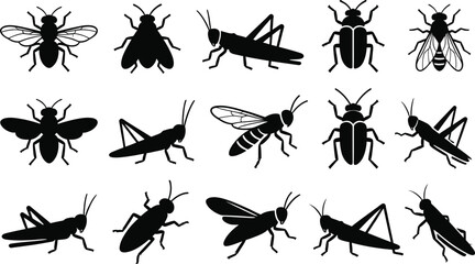 fly, grasshopper and beetle silhouettes set, insect icons, black vector bugs, nature, pest control, farm, garden illustration