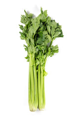 Celery branch bunch with leaves isolated on white background.