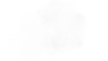Cloud, smoke, light, steam, white cloud in PNG with drifting fog. PNG Overlay on transparent background gives atmospheric effects for cinematic, nature, vapor. PNG format