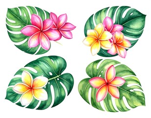 Four monstera leaves with pink and yellow plumeria flowers, isolated on a white background