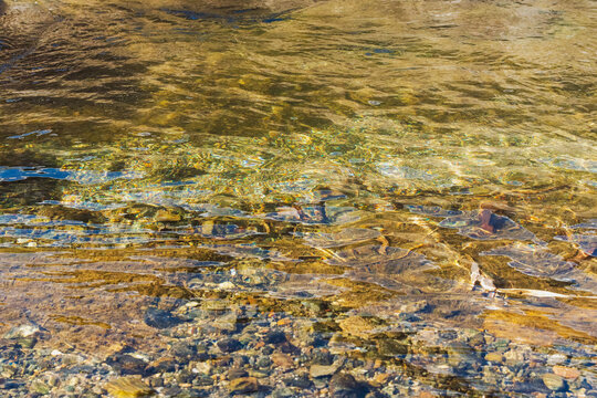 初冬の清流の流れのアップ19