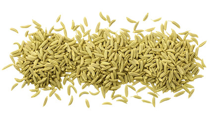 A generous scattering of small, light green, elongated seeds on a pristine white background, showcasing their unique shape and texture, perfect for culinary and herbal themes