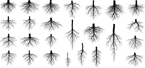 Collection of stylized black silhouette illustrations of diverse plant root systems, symbolizing natural growth, foundational strength, and intricate underground networks