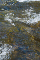 Obraz premium 初冬の清流の流れのアップ20