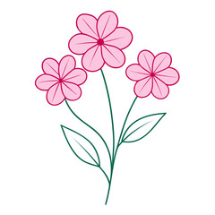 creeping phlox pink line art flower vector on white background