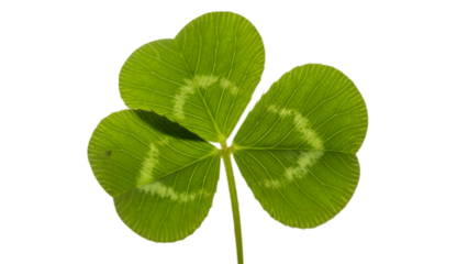 Four leaf clover luck symbol isolated on transparent background