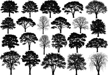 Fototapeta premium A comprehensive collection of diverse tree silhouettes including both leafy and leafless forms