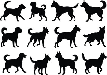Obraz premium A diverse collection of black dog silhouettes showcasing various breeds and active poses