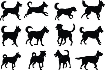 Fototapeta premium Diverse set of black silhouettes illustrating various dog poses like walking, running, and standing