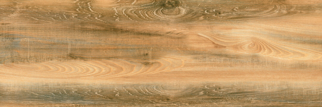 close up of a dry grass grande burlwood brich timber oak woods.