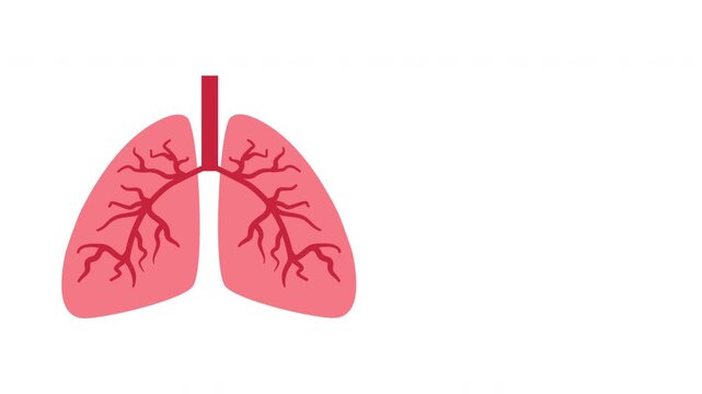 Animation of lungs of a person and breathing (or ventilation) of a healthy and diseased lung