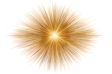 Explosion of Golden Glitter Sparkles on Black, isolated on transparent background