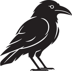 Crow Silhouette — Black Bird Wildlife Flying Raven Vector Illustration