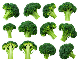 Broccoli Florets Top Down Flat Lay Isolated PNG