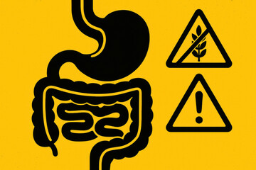 Fototapeta premium High contrast graphic with digestive tract, stomach, and warning icon. concept about gluten sensitivity, celiac disease intolerance, and health risk associated with digestion