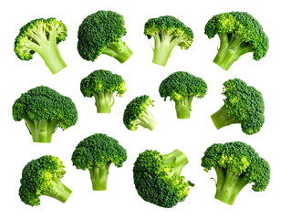 Broccoli Florets Top Down Flat Lay Isolated PNG