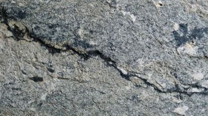 Close-up of a rough grey rock surface with mineral inclusions, a prominent crack,