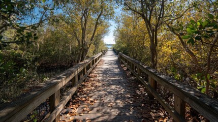 Obraz premium A wooden boardwalk stretches through a forest adorned with vibrant autumn leaves in yellow and orange hues under a clear