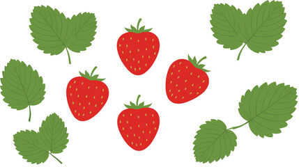 A vibrant vector set featuring fresh, ripe red strawberries and their characteristic green leaves, perfect for food packaging design, summer themes, and healthy eating concepts