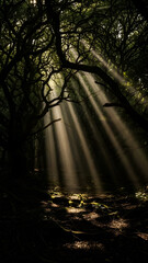Fototapeta premium sun rays in the forest, Sunbeams Piercing Through Forest Trees Create Magical Light Rays on a Quiet Woodland Path Morning