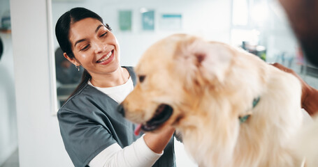 Client, woman vet and dog with consultation for health exam, medical service or pet care appointment. Support, happy animal doctor or person with labrador for check up, wellness assessment or clinic