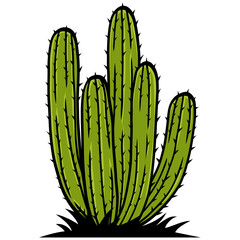 Cactus Tree Drawing Illustration