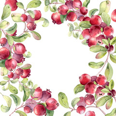 Watercolor illustration of a lingonberry branch isolated on white. Botanical frame with clusters of red berries and soft green leaves hand drawn. Border for bright summer designs or fruit artwork.