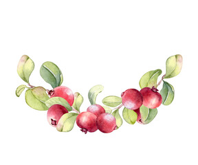 Watercolor cranberry plant with red berries and green leaves in semicircle isolated on white background. Berry vibrant wreath for greeting card, food packaging, and natural design. Cowberries artwork.