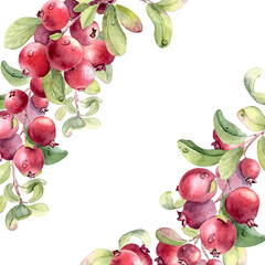Watercolor of fresh ripe red fruits and green leaves with water drops on white background. Lingonberry clusters hand drawn for card design. Corner frame with superfood cowberries illustration.
