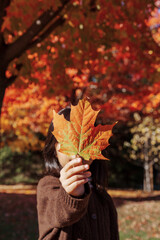 autumn leaves in the hands