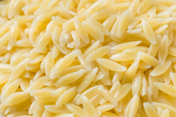 Homemade Healthy Cooked Orzo Pasta