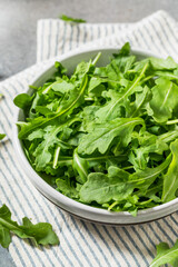 Organic Healthy Green Arugula Lettuce Herbs
