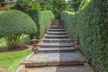 Escalier de jardin entre deux haies vives 